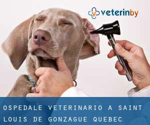 Ospedale Veterinario a Saint-Louis-de-Gonzague (Quebec)