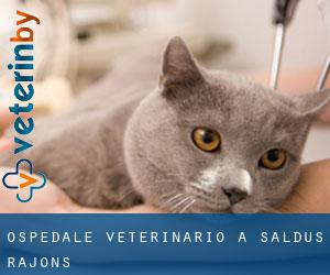 Ospedale Veterinario a Saldus Rajons