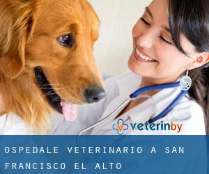 Ospedale Veterinario a San Francisco El Alto