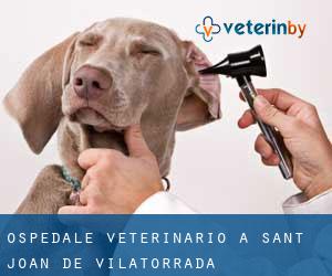 Ospedale Veterinario a Sant Joan de Vilatorrada