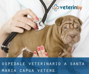 Ospedale Veterinario a Santa Maria Capua Vetere
