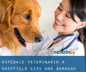 Ospedale Veterinario a Sheffield (City and Borough)