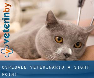 Ospedale Veterinario a Sight Point