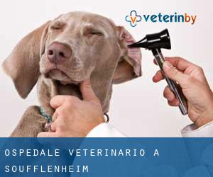 Ospedale Veterinario a Soufflenheim Ospedale Veterinario a Soufflenheim