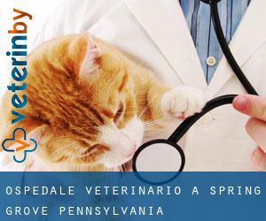 Ospedale Veterinario a Spring Grove (Pennsylvania)