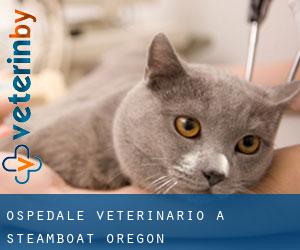 Ospedale Veterinario a Steamboat (Oregon)