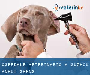 Ospedale Veterinario a Suzhou (Anhui Sheng) Ospedale Veterinario a Suzhou (Anhui Sheng)