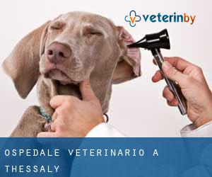 Ospedale Veterinario a Thessaly