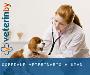 Ospedale Veterinario a Uman'