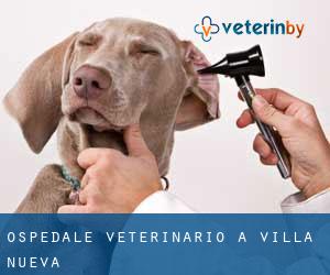 Ospedale Veterinario a Villa Nueva