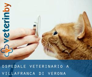 Ospedale Veterinario a Villafranca di Verona
