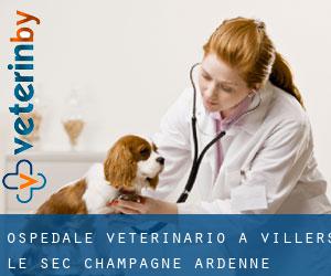 Ospedale Veterinario a Villers-le-Sec (Champagne-Ardenne)