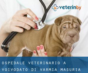 Ospedale Veterinario a Voivodato di Varmia-Masuria