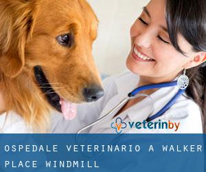 Ospedale Veterinario a Walker Place Windmill
