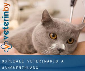 Ospedale Veterinario a Wangwenzhuang