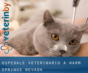 Ospedale Veterinario a Warm Springs (Nevada)