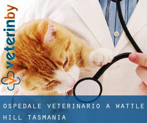 Ospedale Veterinario a Wattle Hill (Tasmania)