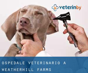 Ospedale Veterinario a Weatherhill Farms