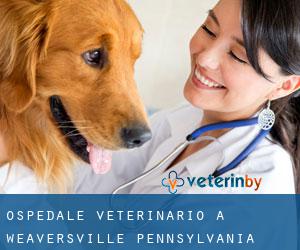 Ospedale Veterinario a Weaversville (Pennsylvania)