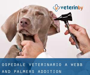 Ospedale Veterinario a Webb and Palmers Addition
