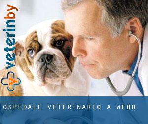 Ospedale Veterinario a Webb