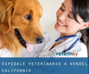 Ospedale Veterinario a Wendel (California)
