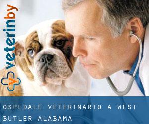 Ospedale Veterinario a West Butler (Alabama)