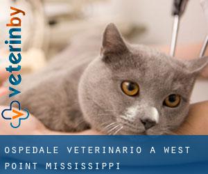 Ospedale Veterinario a West Point (Mississippi)