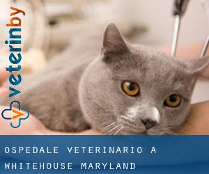 Ospedale Veterinario a Whitehouse (Maryland)