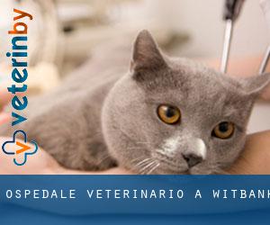 Ospedale Veterinario a Witbank