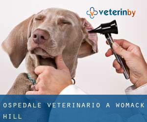 Ospedale Veterinario a Womack Hill