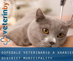 Ospedale Veterinario a Xhariep District Municipality