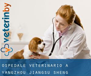 Ospedale Veterinario a Yangzhou (Jiangsu Sheng)