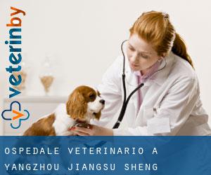 Ospedale Veterinario a Yangzhou (Jiangsu Sheng) Ospedale Veterinario a Yangzhou (Jiangsu Sheng)