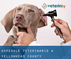 Ospedale Veterinario a Yellowhead County Ospedale Veterinario a Yellowhead County