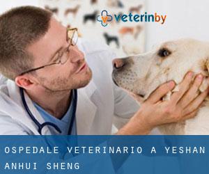 Ospedale Veterinario a Yeshan (Anhui Sheng)