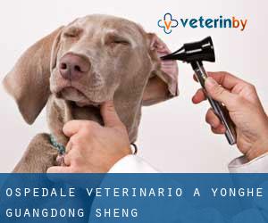 Ospedale Veterinario a Yonghe (Guangdong Sheng)