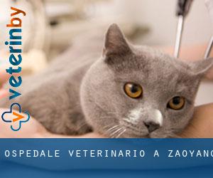 Ospedale Veterinario a Zaoyang Ospedale Veterinario a Zaoyang