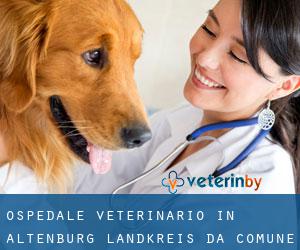 Ospedale Veterinario in Altenburg Landkreis da comune - pagina 1