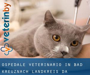 Ospedale Veterinario in Bad Kreuznach Landkreis da capoluogo - pagina 1