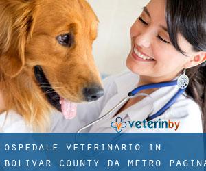 Ospedale Veterinario in Bolivar County da metro - pagina 1