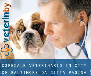 Ospedale Veterinario in City of Baltimore da città - pagina 3