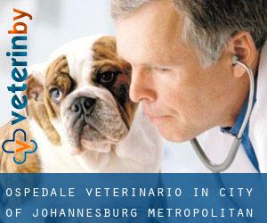 Ospedale Veterinario in City of Johannesburg Metropolitan Municipality da villaggio - pagina 1