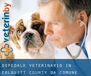 Ospedale Veterinario in Colquitt County da comune - pagina 1