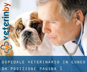 Ospedale Veterinario in Cuneo da posizione - pagina 1
