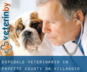 Ospedale Veterinario in Fayette County da villaggio - pagina 1