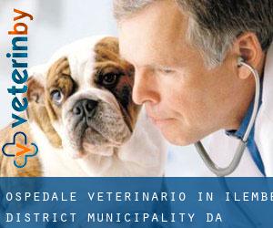 Ospedale Veterinario in iLembe District Municipality da capoluogo - pagina 1