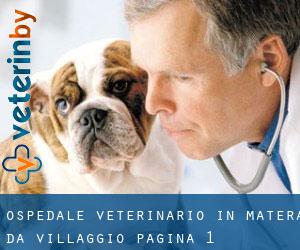 Ospedale Veterinario in Matera da villaggio - pagina 1