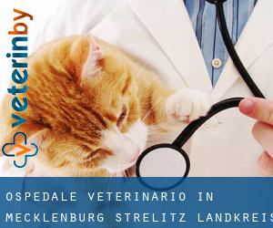 Ospedale Veterinario in Mecklenburg-Strelitz Landkreis da capoluogo - pagina 1