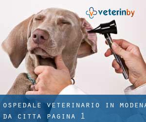 Ospedale Veterinario in Modena da città - pagina 1